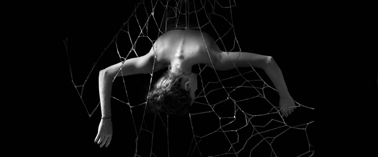 Gianna Carrano: "ARACNE in the spider's web"